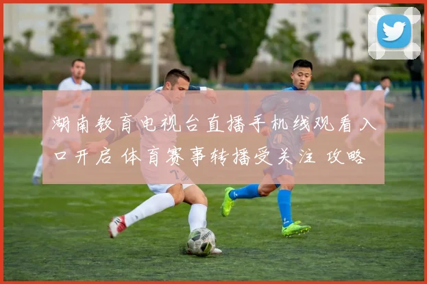 湖南教育电视台直播手机线观看入口开启 体育赛事转播受关注 攻略汇总同步上线