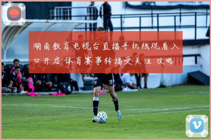 湖南教育电视台直播手机线观看入口开启 体育赛事转播受关注 攻略汇总同步上线