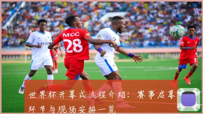 世界杯开幕式流程介绍:赛事启幕环节与现场安排一览